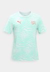 SWITZERLAND SFV FTBLCULTURE TEE - Article de supporter d'équipe nationale - sea glass/red