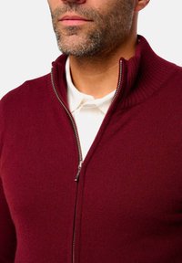 Mann mit gestutztem Bart, der ein weißes Polohemd unter einem teilweise zugeknöpften burgunderfarbenen Strickpullover mit Rippkragen trägt.