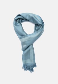 Sciarpa azzurro chiaro con una texture liscia, caratterizzata da motivi sottili e bordi frangiati. Realizzata in un materiale morbido e leggero.
