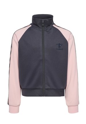 DAILY ZIP - Trainingsjacke - ebony