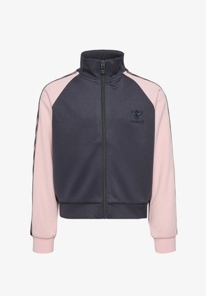 Dunkelgraue Jacke mit Reißverschluss, pinken Ärmeln, geripptem Kragen und gesticktem Logo. Glatte Struktur mit kontrastierenden Farben und seitlichem Streifendetail.