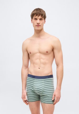 Jeune homme debout, portant un boxer rayé vert et bleu marine avec une ceinture bleue marine portant l'inscription "GAP", sur un fond clair uni.