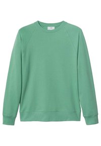Felpa verde con scollo rotondo e maniche raglan, realizzata in morbido cotone. Presenta polsini e orlo a costine, senza motivi o dettagli visibili.