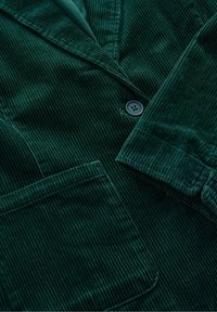 Seasalt Cornwall HEALD - Blejzr - green tehidy