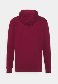 Rückansicht eines schlichten weinroten Hoodies mit langen Ärmeln und Kapuze, dargestellt vor einem weißen Hintergrund.
