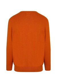 Oranje trui, gebreide stof, ronde halslijn, lange mouwen, ribbelrand en manchetten, gladde textuur, effen kleur zonder patronen.
