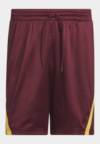 adidas Performance SELECT SUMMER - Kurze Sporthose - shadow red