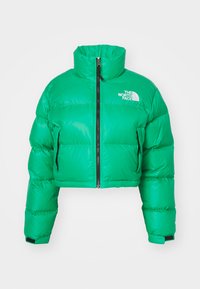 NUPTSE SHORT JACKET - Bunda z prachového peří - optic emerald
