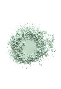 T.LeClerc T.LECLERC PUDER LOOSE POWDER - Powder - 13 tilleul