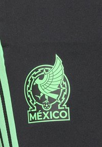 Black garment featuring a green logo with a bird and circular design, including the word "MÉXICO" below. Accented with green stripes.
