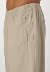Björn Borg ACE SHORTS - Spordišortsid - pelican
