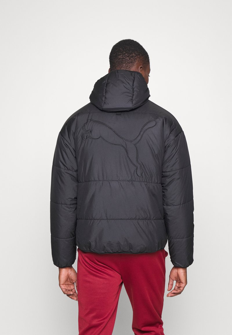 Puma CLASSICS HOODED PADDED JACKET - Winter jacket - black - Zalando.de