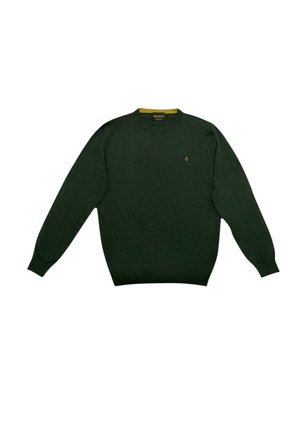 Maglione verde lavorato a maglia con maniche lunghe, collo rotondo, polsini a coste e orlo. Presenta un piccolo logo sul petto. Texture morbida.
