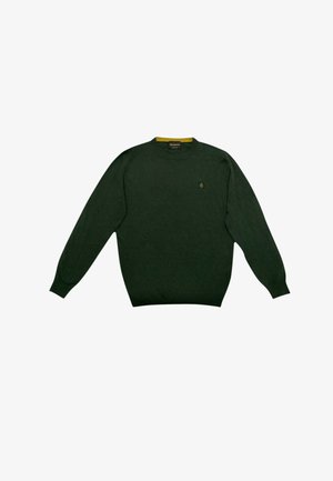 Maglione verde lavorato a maglia con maniche lunghe, collo rotondo, polsini a coste e orlo. Presenta un piccolo logo sul petto. Texture morbida.