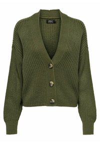 Neizbrano, winter moss