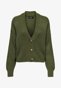 Neizvēlēts, winter moss