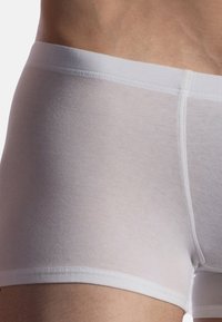 White cotton boxer briefs with a solid white waistband, featuring a snug fit and smooth texture, visible stitching along the seams.