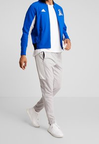Cazadora deportiva azul con cremallera, detalles en blanco y ribete negro, combinada con joggers gris claro que tienen bolsillos laterales y texturas sutiles. Zapatillas blancas.