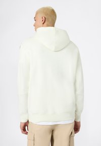 Felpa chiara con una consistenza morbida, dotata di un ampio cappuccio e polsini a costine. Sul retro presenta un design semplice senza abbellimenti.