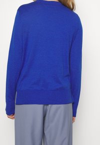 Blauer Strickpullover mit langen Ärmeln, geripptem Saum und Bündchen. Weiche Textur, lockere Passform und Rundhalsausschnitt. Kombiniert mit grauen Hosen.