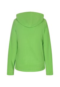 Felpa con cappuccio a maniche lunghe di un vivace verde, realizzata in morbido materiale di felpa, con un design semplice senza dettagli o accenti aggiuntivi.