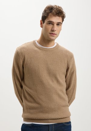 Maglione beige strutturato con scollo a girocollo e polsini a coste, caratterizzato da un motivo a bolle. Indossato sopra una camicia bianca.