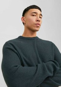 Jack & Jones JORKYLE CREW NECK - Jumper - magical forest