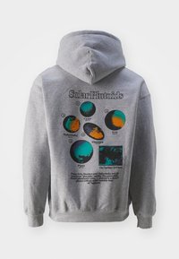 BDG Urban Outfitters Luvtröja - grey