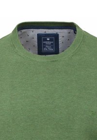 Grüner Strickpullover mit Rundhalsausschnitt. Das Innenfutter hat ein navy- und weißgestreiftes Design, ein Logolabel und ein dezentes Punktemuster.