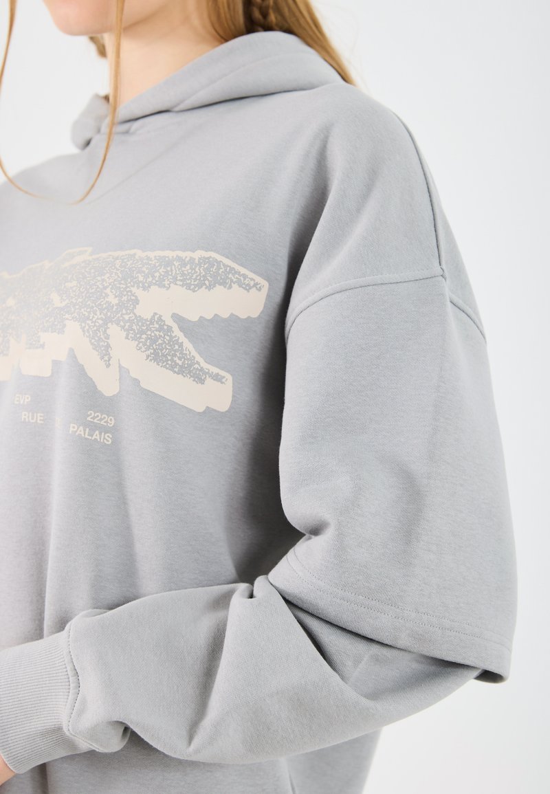 Sudadera gris claro con capucha, que presenta un gran gráfico texturizado en blanco roto. El diseño incluye puños acanalados y un corte relajado.