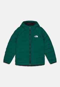 Pasirinkta, evergreen