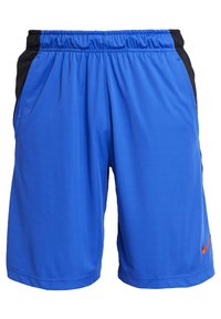 Blå sportshorts med svarta sidopaneler, elastisk midja och en liten röd Nike-swoosh på nedre höger ben.