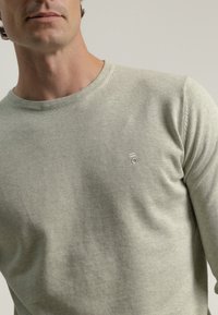 Suéter de algod�ón verde claro con cuello redondo, que presenta una sutil textura y un pequeño logotipo bordado en el pecho. Corte casual.