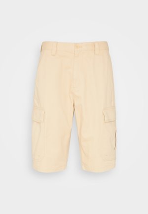 Tommy Jeans, AIDEN BAGGY CARGO  - Shorts - trench