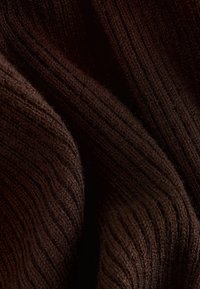 ROLL NECK  - Džemperis - chocolate brown