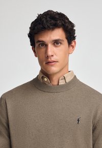 Maglione marrone chiaro con colletto a coste. Presenta un piccolo logo blu navy sul petto ed è indossato sopra una camicia beige con colletto.