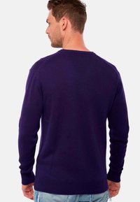 Mahogany HIPPOLYTE - Pullover - deep purple
