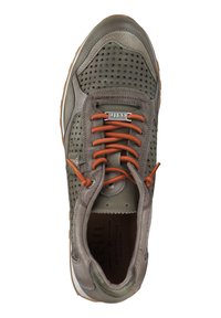 Cetti Sneaker low - nature tin wasabi