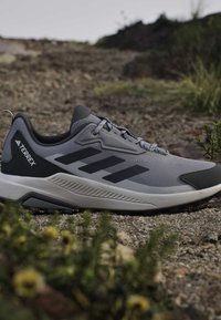 Grey and black Adidas Terrex hiking shoe resting on a rocky trail with some small green plants nearby.