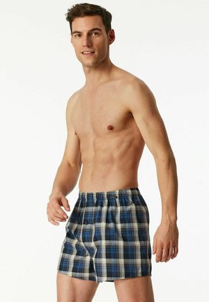 Shirtless man standing, wearing blue and gray plaid boxer shorts, facing forward with a slight smile on a white background.