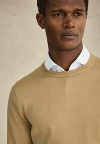 Vaaleanruskea neulepaita, jossa on pyöreä pääntie, esitelty valkoisen kauluspaidan päällä. Tasainen pinta, jossa on vähäisiä yksityiskohtia.