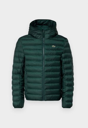 Zelena zimska jakna s kapuco, z vodoravnimi šivi, sprednjim zadrgo in majhnim vezenim logotipom na prsih.