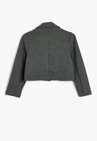 Przycięta, szara marynarka w prążki z długimi rękawami, klapami i teksturowanym materiałem. Minimalistyczny design z czystymi liniami i bez widocznych zapięć.