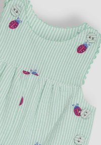 Un vestido a rayas verde y blanco con diseños de mariquita bordados. Incluye cierres de botones y un escote festoneado. Tejido ligero.