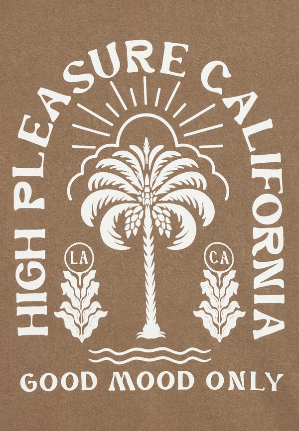 NKMJARVU SS NREG BOX - Print T-shirt - walnut2