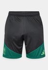 MEXICO FMF TRAINING SHORT - Voetbalshirt - Land - black