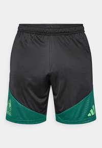 Calções atléticos pretos com painéis verdes, apresentando o emblema de futebol do México na perna esquerda e um logo da Adidas na perna direita.