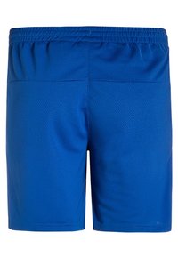 adidas Performance Träningsshorts - blue/utility black