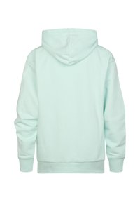 Mintgrüner Hoodie aus weicher Baumwollmischung, mit großer, verstellbarer Kapuze, gerippten Bündchen und Saum. Glatte Textur, lässiges Design.