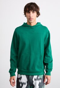 Green hoodie made of soft fabric, featuring a kangaroo pocket, adjustable hood, and ribbed cuffs. Subtle branding is present on the chest.
